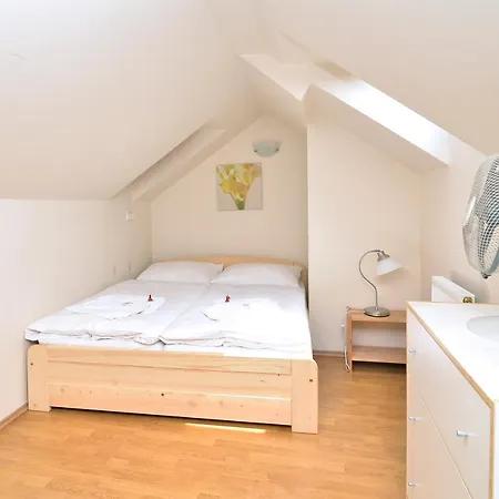 Apartament Historic Centre Viii Praga