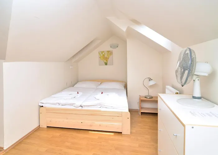 Apartament Historic Centre Viii Praga
